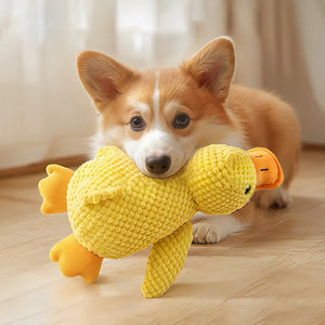 Hundeprodukte